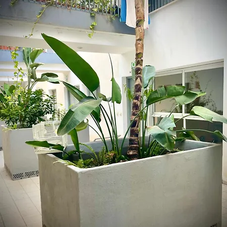 Apartamento Marmol Málaga Buitenkant foto